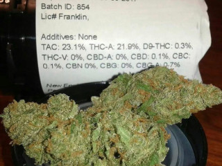 Bud available all strians
