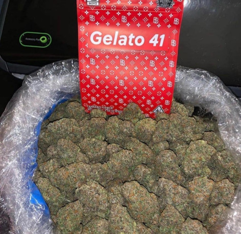 galeto-41-ready-big-0