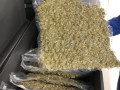 indoor-strain-available-at-affordable-prices-small-0