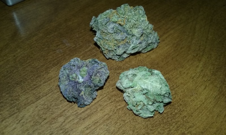 purple-kush-marijuana-big-0