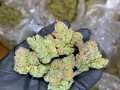 girls-scout-cookies-available-small-0