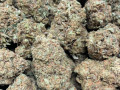 top-quality-medical-marijuana-units-small-1