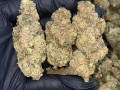 exotic-bud-small-1