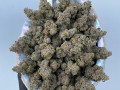 top-shelf-cannabis-small-0