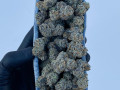 top-shelf-cannabis-small-4