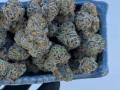 top-shelf-cannabis-small-2