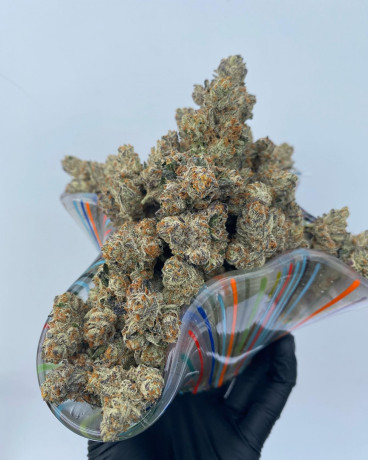 medical-marijuana-big-1