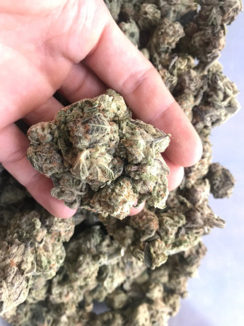buy-top-quality-medical-marijuana-big-0