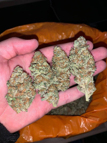 medical-marijuana-big-0