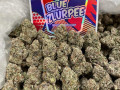 top-quality-exotic-bud-small-2