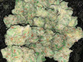 buy-cannabis-online-rushville-small-0