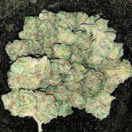 buy-cannabis-online-rushville-big-0
