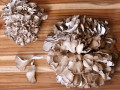 buy-mushrooms-for-sale-near-me-small-0