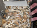 marijuana-mushrooms-distillate-small-2