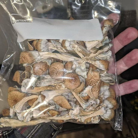 marijuana-mushrooms-distillate-big-2