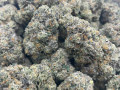 indoor-highly-graded-cannabis-flower-available-hmu-small-0