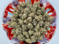 top-shelf-medical-and-greenhouse-cannabis-small-0