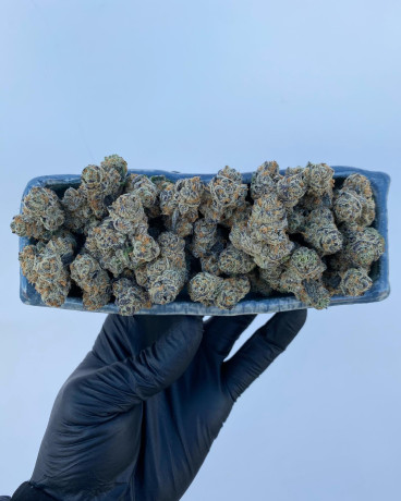 medical-and-greenhouse-cannabis-big-3