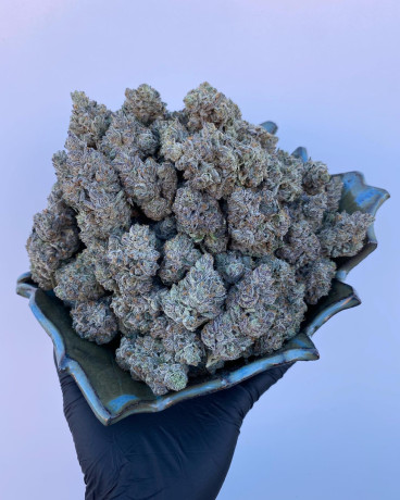 medical-and-greenhouse-cannabis-big-0