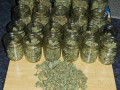 weed-lovers-dm-these-top-quality-small-0