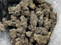real-loud-top-quality-buds-at-affordable-prices-small-0
