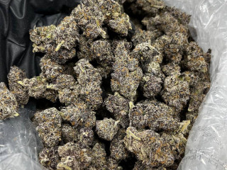 Real loud top quality buds at affordable prices