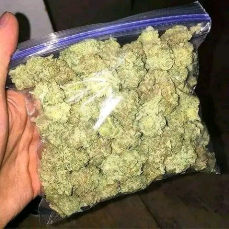 top-quality-weed-available-at-affordable-prices-big-0