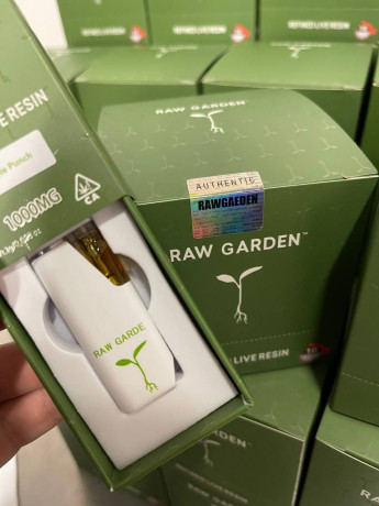 raw-garden-2g-disposables-for-sale-big-1