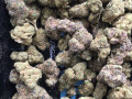 medical-thc-for-sale-small-1