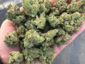 medical-thc-for-sale-online-now-small-0