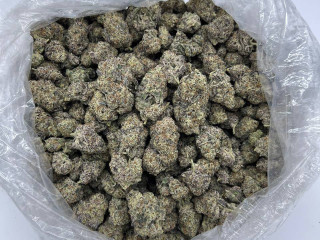 Top quality buds available HMU