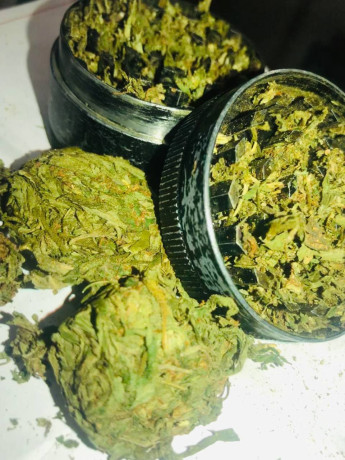 top-sheif-bud-for-sale-big-0