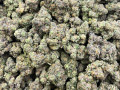 cannabis-new-strains-small-0