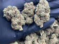 top-quality-medical-marjuana-small-1