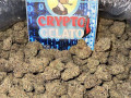 crypto-gelato-small-0