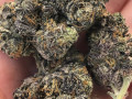 direct-farmers-indica-sativa-and-hybrid-strains-small-0