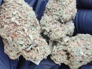 Quality, hand trimmed outdoor available