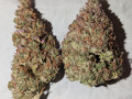 mikes-home-grown-home-town-down-home-weed-small-3