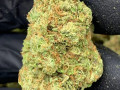 tapin-to-get-best-quality-marijuana-small-0