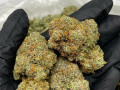 top-medical-marijuana-strains-small-0
