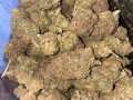 high-quality-medical-marijuana-strains-small-0