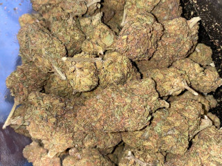 High quality medical marijuana strains