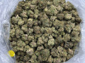 indoors-medical-cannabis-small-3