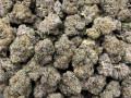 top-shelf-buds-available-small-1