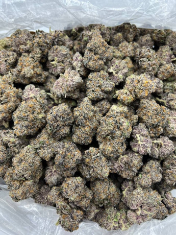 top-shelf-buds-available-big-1