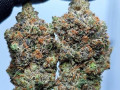 top-best-strains-available-small-3