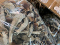 top-quality-medical-shrooms-small-0