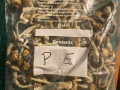 shrooms-at-affordable-price-small-0