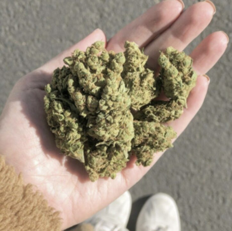 medical-marijuana-big-0
