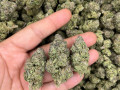 best-of-the-best-weed-products-available-small-0